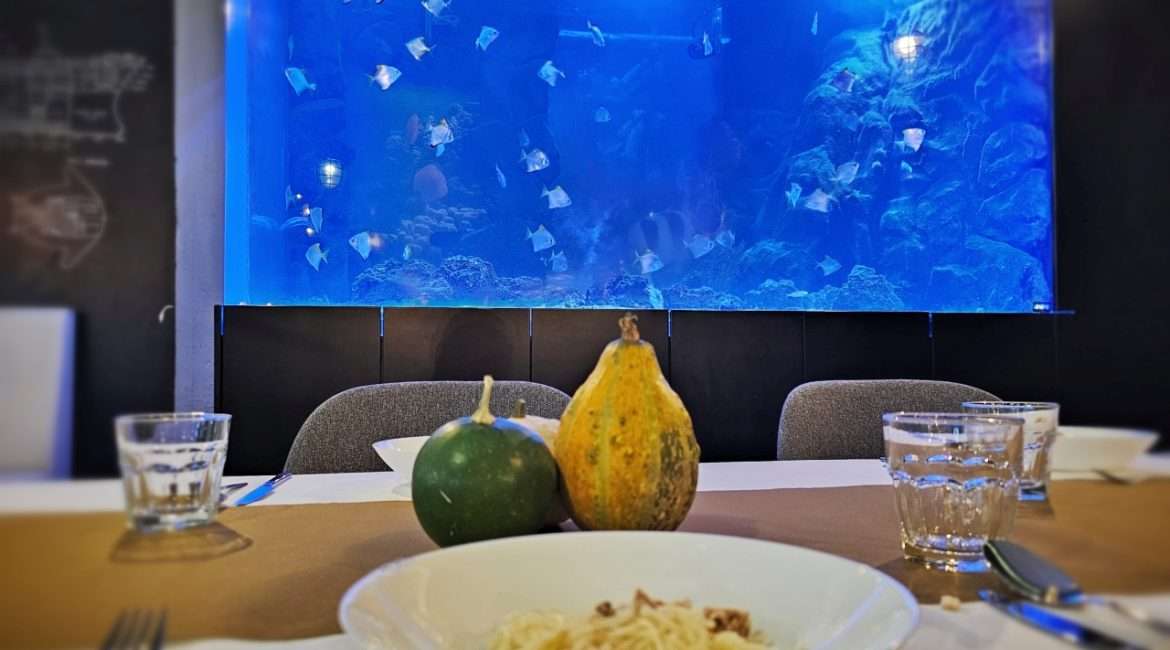 Akwarium morskie w restauracji gliwickiej