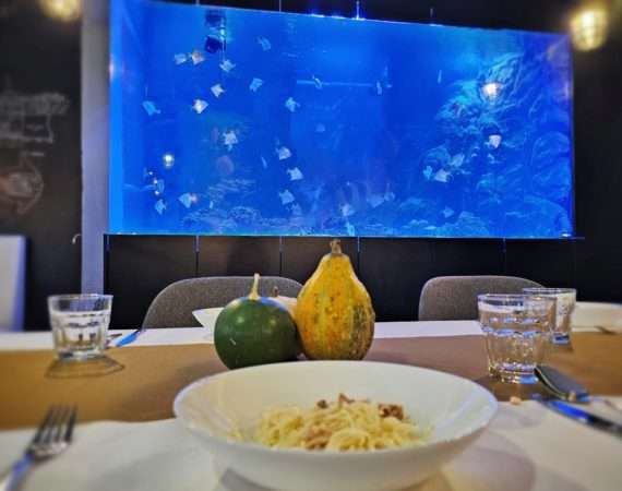 Akwarium morskie w restauracji gliwickiej