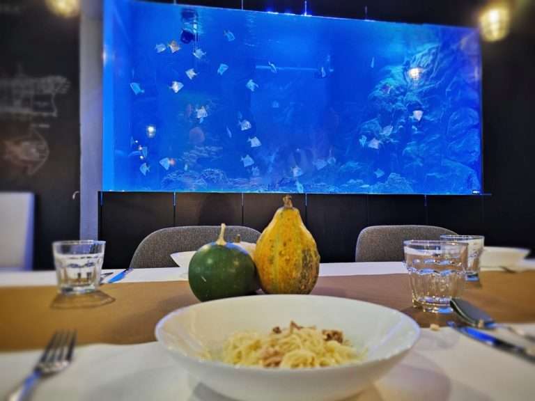 Akwarium morskie w restauracji gliwickiej